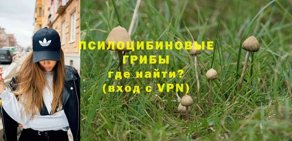 spice Инсар