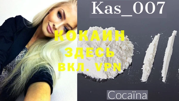 spice Инсар