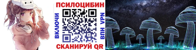 Купить где  Невинномысск  Псилоцибиновые грибы Cubensis 